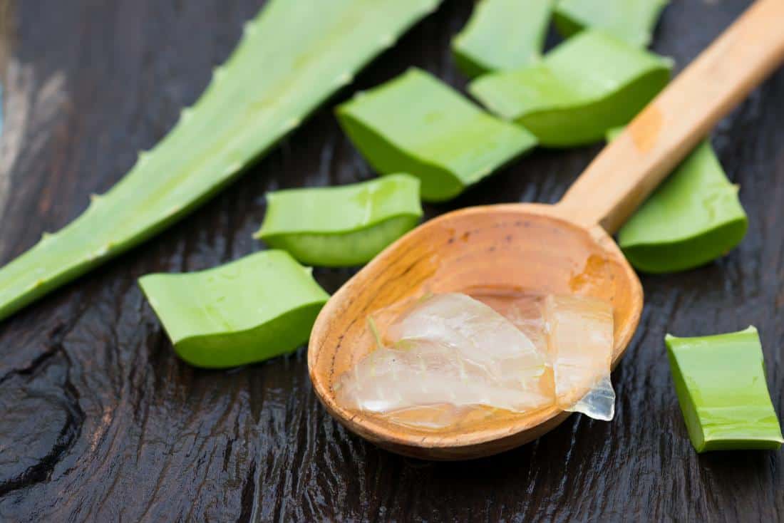 Fresh aloe vera leaves with a wooden spoon full of gel, illustrating its natural and versatile uses