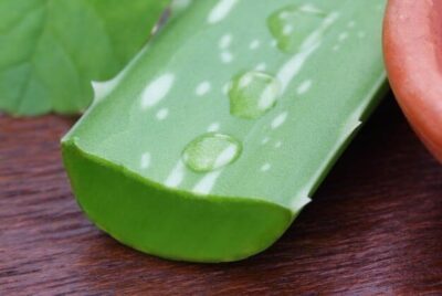 Aloe Vera Secrets: How to Store & Preserve Its Benefits – Aloe Queen