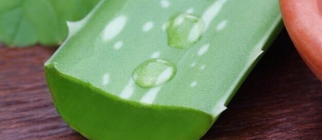 A freshly cut Aloe Vera leaf with visible inner gel and water droplets on its surface, placed on a wooden table.
