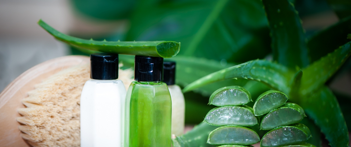 aloe-queen-aloe-manufacturer (3)