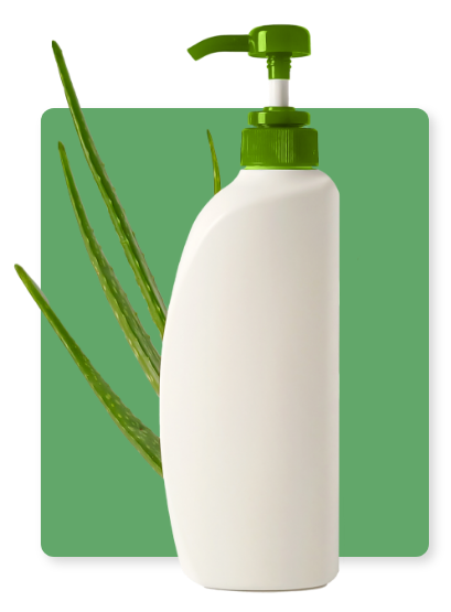 aloe-queen-aloe-vera (1)